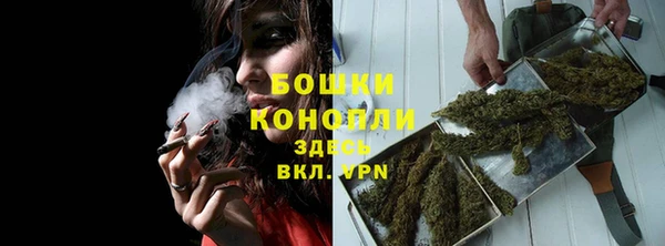 ГАЛЛЮЦИНОГЕННЫЕ ГРИБЫ Болхов
