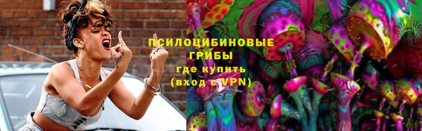 соль ск Богородск