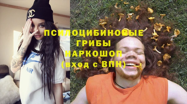 индика Болохово