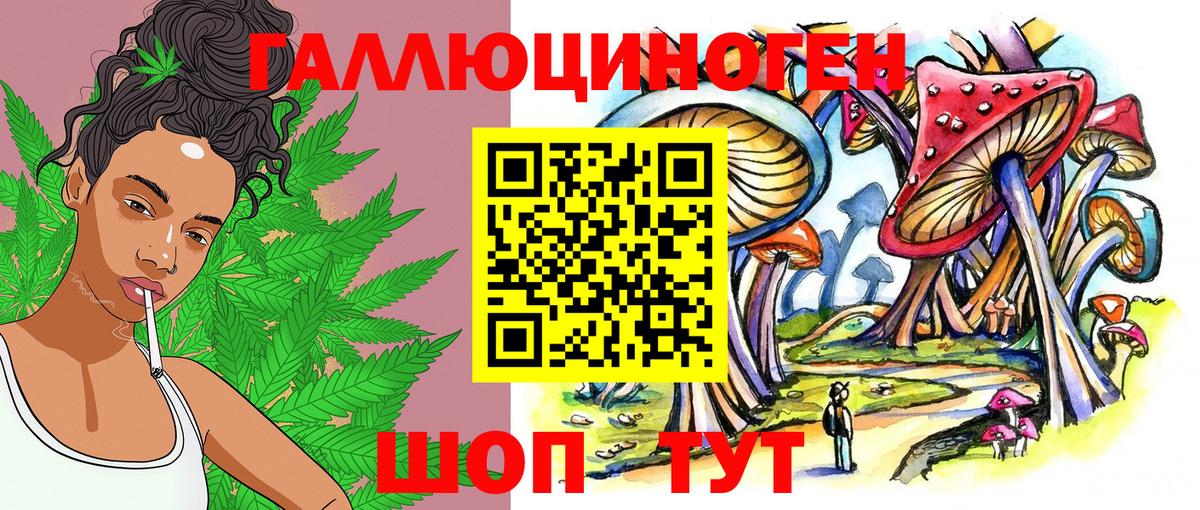 Галлюциногенные грибы мицелий Губкинский